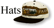 embroidered_hat_example.gif (5554 bytes)